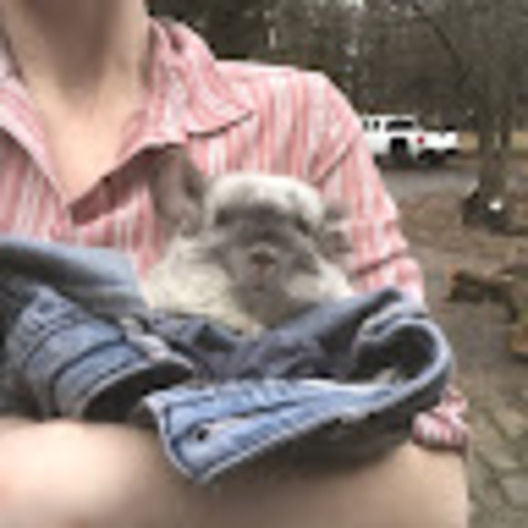 Meet your Posher, Maddy - Picture 1 of 1